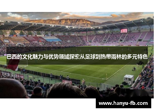 巴西的文化魅力与优势领域探索从足球到热带雨林的多元特色