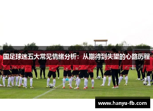 国足球迷五大常见情绪分析：从期待到失望的心路历程