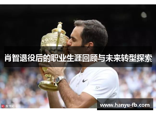 肖智退役后的职业生涯回顾与未来转型探索