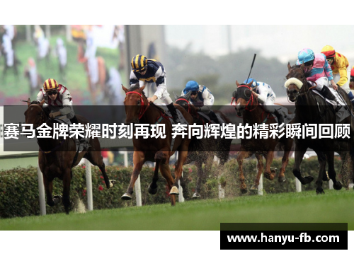 赛马金牌荣耀时刻再现 奔向辉煌的精彩瞬间回顾