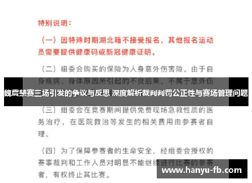 魏震禁赛三场引发的争议与反思 深度解析裁判判罚公正性与赛场管理问题