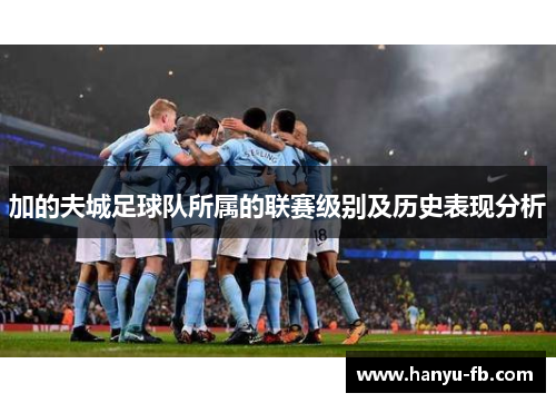 加的夫城足球队所属的联赛级别及历史表现分析 加的夫城足球队所属的联赛级别及历史表现分析