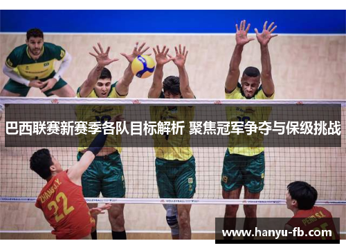 巴西联赛新赛季各队目标解析 聚焦冠军争夺与保级挑战